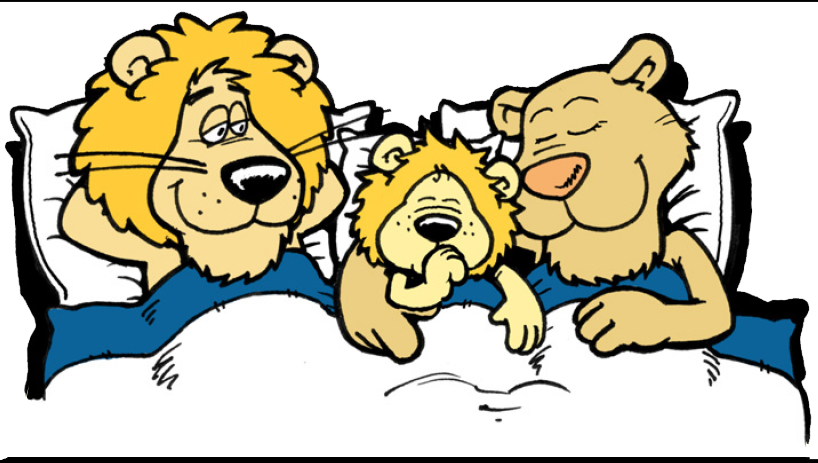 Lion family at loeweli